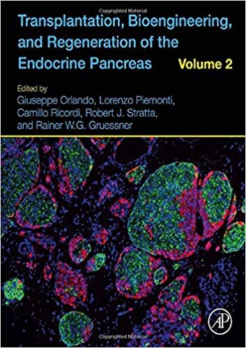 indir Transplantation, Bioengineering, and Regeneration of the Endocrine Pancreas: Volume 2