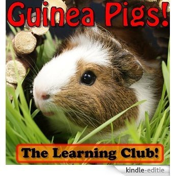 Guinea Pigs! Learn About Guinea Pigs And Learn To Read - The Learning Club! (45+ Photos of Guinea Pigs) (English Edition) [Kindle-editie]
