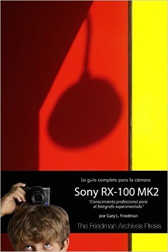 La Guia Completa Para La Camara Sony Cybershot RX-100 Mk II