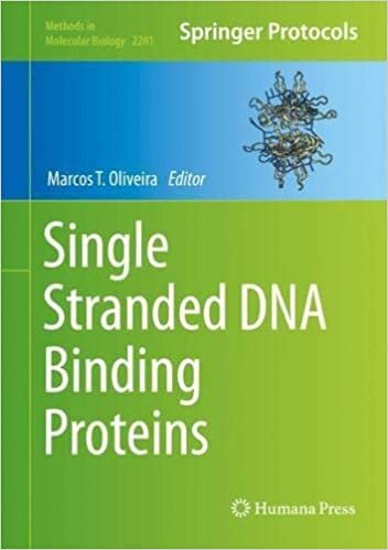 indir Single Stranded DNA Binding Proteins (Methods in Molecular Biology, 2281, Band 2281)