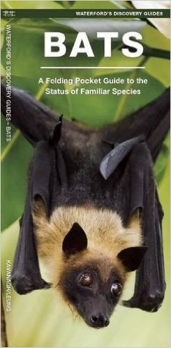 Waterford's Discovery Guide: Bats: A Folding Pocket Guide to the Status of Familiar Species