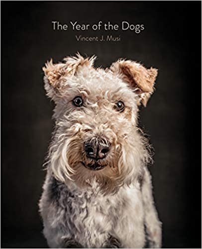 The Year of the Dogs baixar