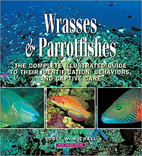 indir Wrasses &amp; Parrotfishes: The Complete Illustrated Guide to Their Identification, Behaviors, and Captive Care (Reef Fishes)