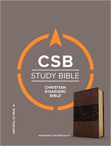 CSB Study Bible, Mahogany Leathertouch