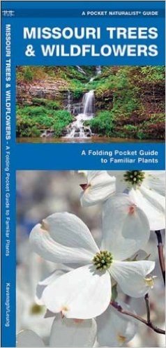 Missouri Trees & Wildflowers: An Introduction to Familiar Species