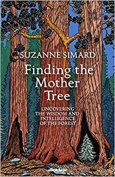 indir Finding the Mother Tree: Uncovering the Wisdom and Intelligence of the Forest