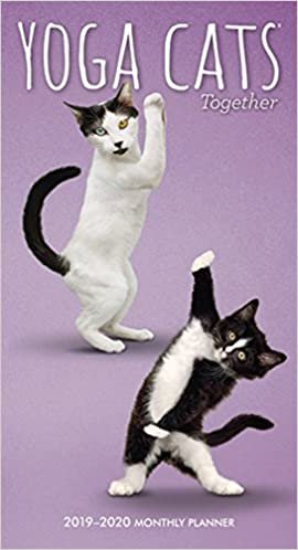 Yoga Cats Together 2019-2020 Two-Year Monthly Planner
