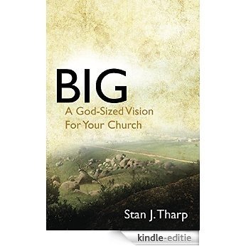 Big (Stan-helps) (English Edition) [Kindle-editie] beoordelingen