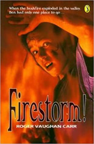 Firestorm! (Puffin Books)