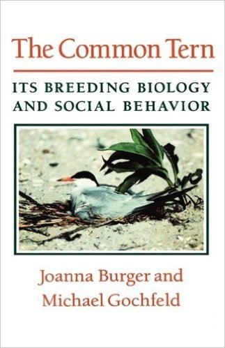 Commo Common Tern: Its Breeding Biology and Social Behavior