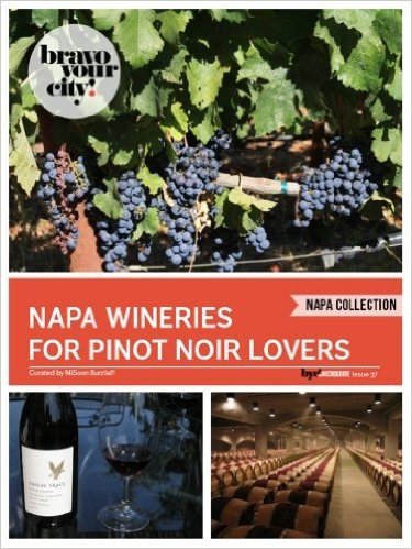Napa Wineries for Pinot Noir Lovers (Bravo Your City! Book 37) (English Edition)