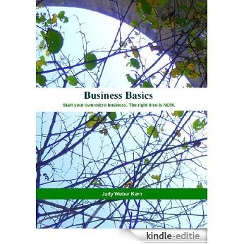 Business Basics (English Edition) [Kindle-editie]