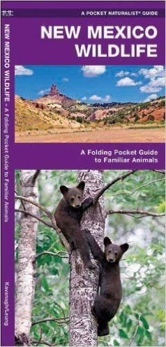 New Mexico Wildlife: An Introduction to Familiar Species