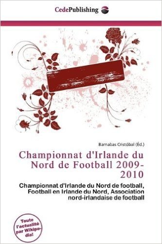 Championnat D'Irlande Du Nord de Football 2009-2010