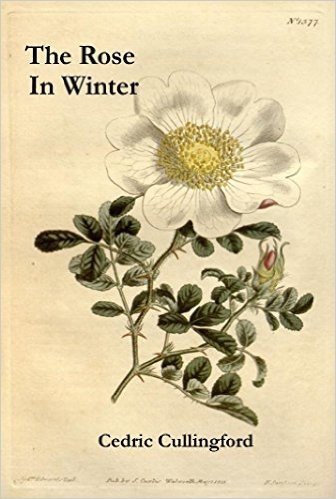 The Rose in Winter (English Edition)