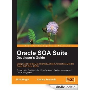 Oracle SOA Suite Developer's Guide [Kindle-editie]