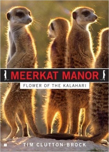 Meerkat Manor: Flower of the Kalahari