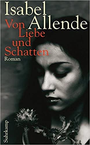 Von Liebe und Schatten: Roman (suhrkamp taschenbuch)