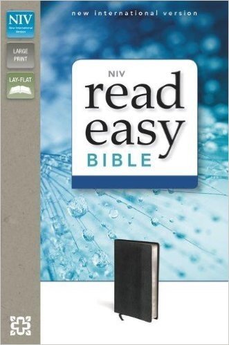 Read Easy Bible-NIV