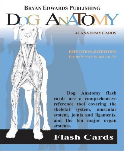 Dog Anatomy Flash Cards