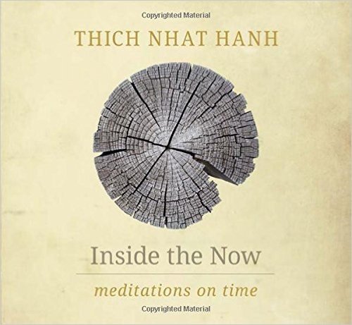 Inside the Now: Meditations on Time baixar