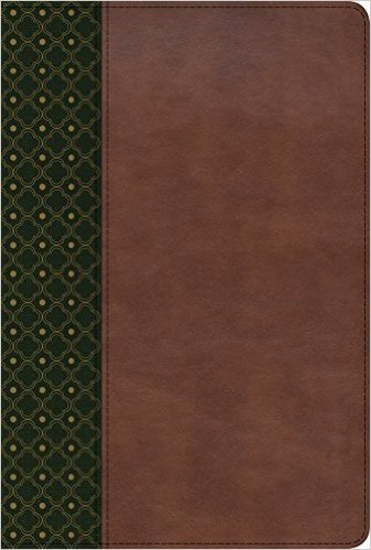 Rvr 1960 Biblia de Estudio Scofield, Verde Oscuro/Castano Simil Piel Con Indice