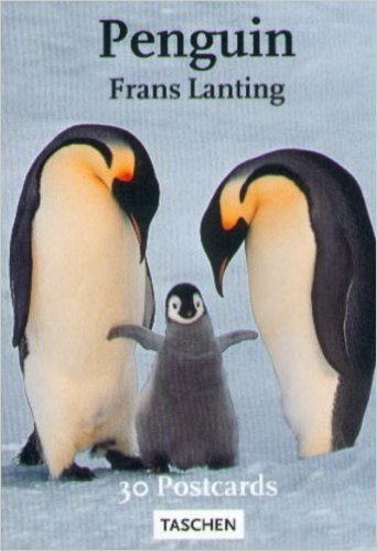 Lanting Penguins