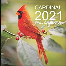indir Cardinal 2021 Wall Calendar: Mini Wall Calendar Bird Photography 12 Month Calendar Planner