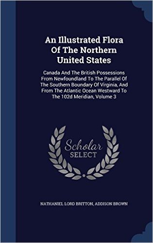 An Illustrated Flora of the Northern United States: Canada and the British Possessions from Newfoundland to the Parallel of the Southern Boundary of ... Ocean Westward to the 102d Meridian, Volume 3