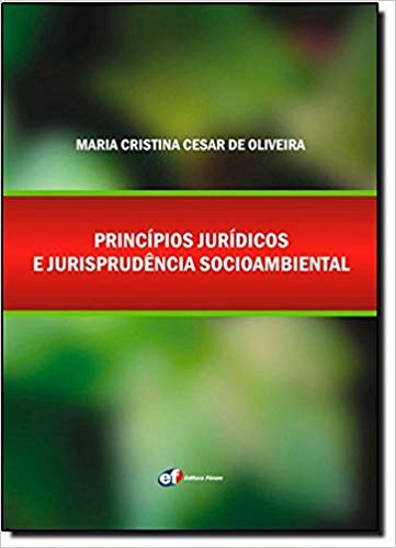 Princípios jurídicos e jurisprudência socioambiental