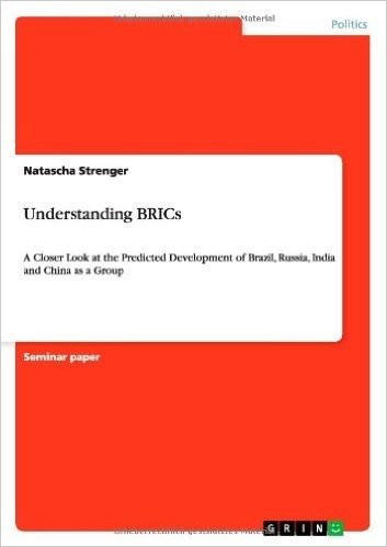 Understanding Brics
