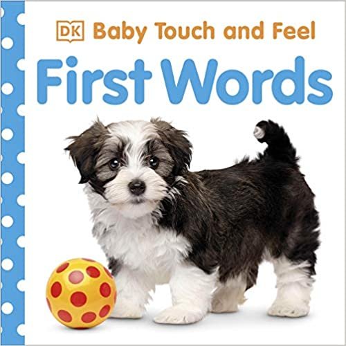 indir Baby Touch and Feel First Words