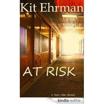 AT RISK (Steve Cline Mysteries Book 1) (English Edition) [Kindle-editie]