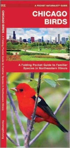 Chicago Birds: An Introduction to Familiar Species in Northeastern Illinois