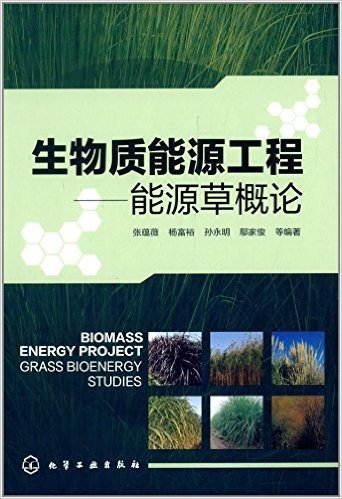 生物质能源工程:能源草概论