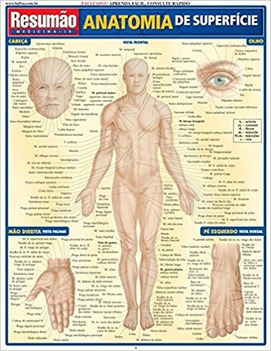 Anatomia Superficial baixar