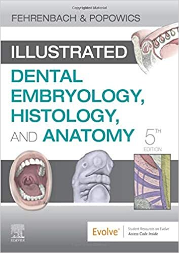 indir Illustrated Dental Embryology, Histology, and Anatomy