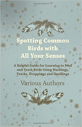 Spotting Common Birds with All Your Senses - A Helpful Guide for Learning to Find and Track Birds Using Markings, Tracks, Droppings and Dwellings