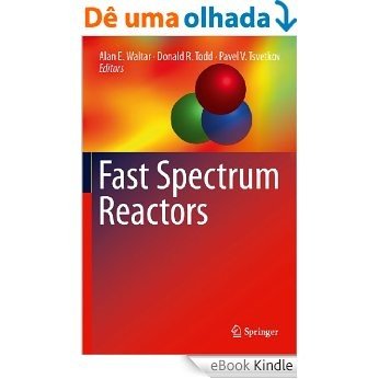 Fast Spectrum Reactors [eBook Kindle]