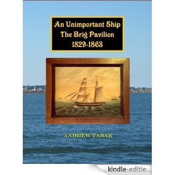An Unimportant Ship, The Brig Pavilion, 1829-1863 (English Edition) [Kindle-editie]