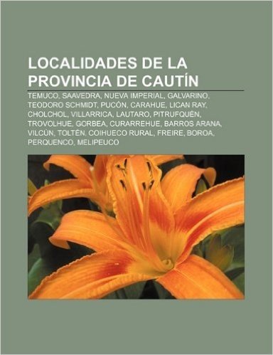 Localidades de La Provincia de Cautin: Temuco, Saavedra, Nueva Imperial, Galvarino, Teodoro Schmidt, Pucon, Carahue, Lican Ray, Cholchol
