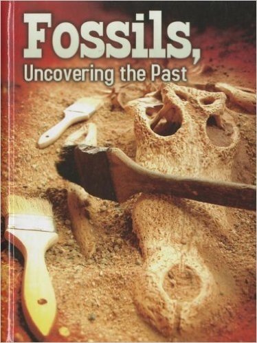 Fossils: Uncovering the Past