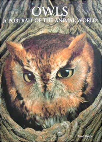 Owls: A Portrait of the Animal World