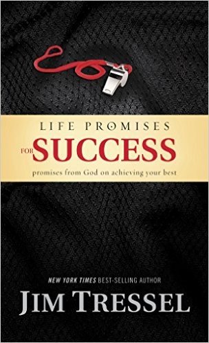 Life Promises for Success: Promises from God on Achieving Your Best (English Edition)