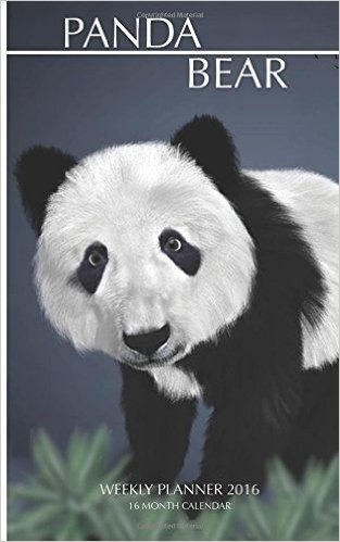 Panda Bear Weekly Planner 2016: 16 Month Calendar