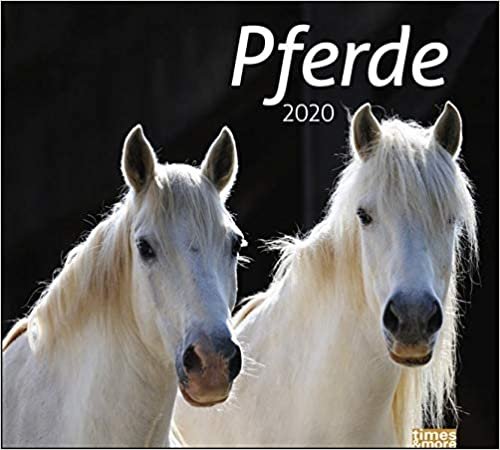 times & more Pferde Bildkalender 2020
