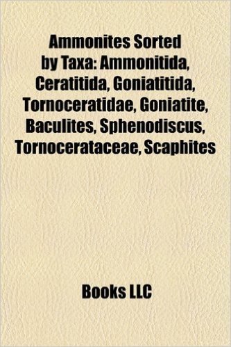 Ammonites Sorted by Taxa: Ammonitida, Ceratitida, Goniatitida, Tornoceratidae, Goniatite, Baculites, Sphenodiscus, Tornocerataceae, Scaphites