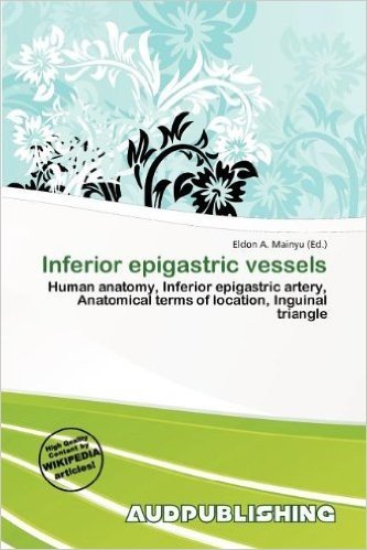 Inferior Epigastric Vessels