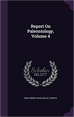 Report on Paleontology, Volume 4