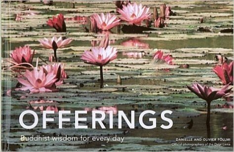 Offerings: Buddhist Wisdom for Every Day baixar